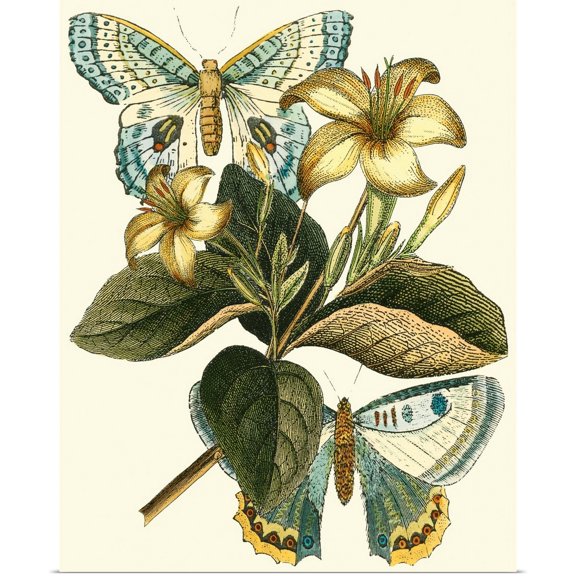 Great BIG Canvas | Rolled Vision Studio Poster Print entitled Butterfly Oasis IV