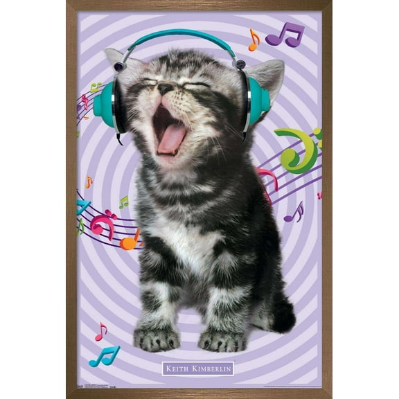 Keith Kimberlin - Kitten - Singing Wall Poster, 22.375" x 34", Framed