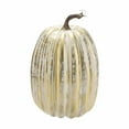 thumbnail image 2 of YIMWNYI Large Fake Pumpkin Prop for Halloween Decorations, Lightweight Foam Pumpkin, Realistic Fall Decor, Versatile Autumn Decoration for Parties and Home, 2 of 6