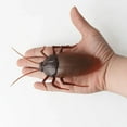 thumbnail image 5 of Staron RC Cockroach Remote Control Car Vehicle Simulation Toys Electronic Remote Control Snake Realistic Fake Cockroach Big Insect Toy Gift, 5 of 6