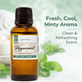 thumbnail image 4 of Peppermint Essential Oil - 1 fl oz (30 ml) Glass Bottle w/ Euro Dropper - 100% Pure Essential Oil by GreenHealth, 4 of 10