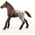 thumbnail image 3 of Appaloosa Foal, 3 of 4