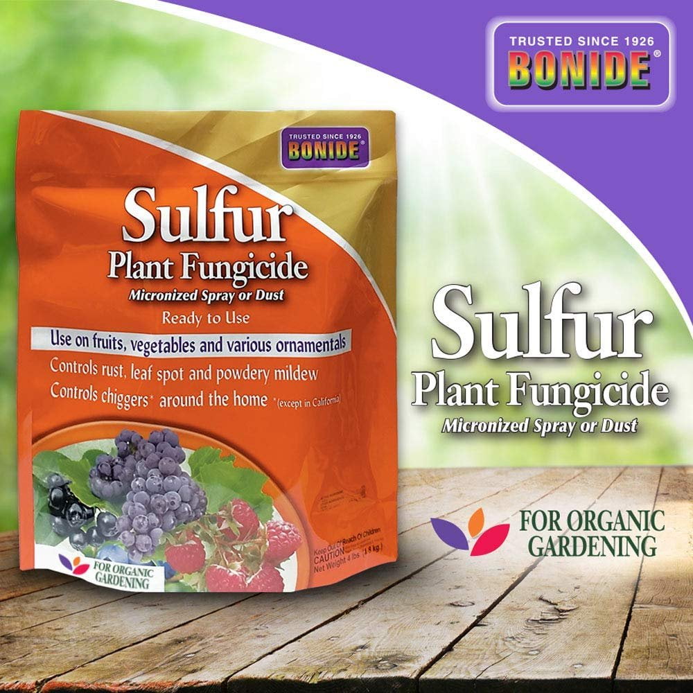 Bonide (BND1428) Sulfur Plant Fungicide, Organically Controls Rust