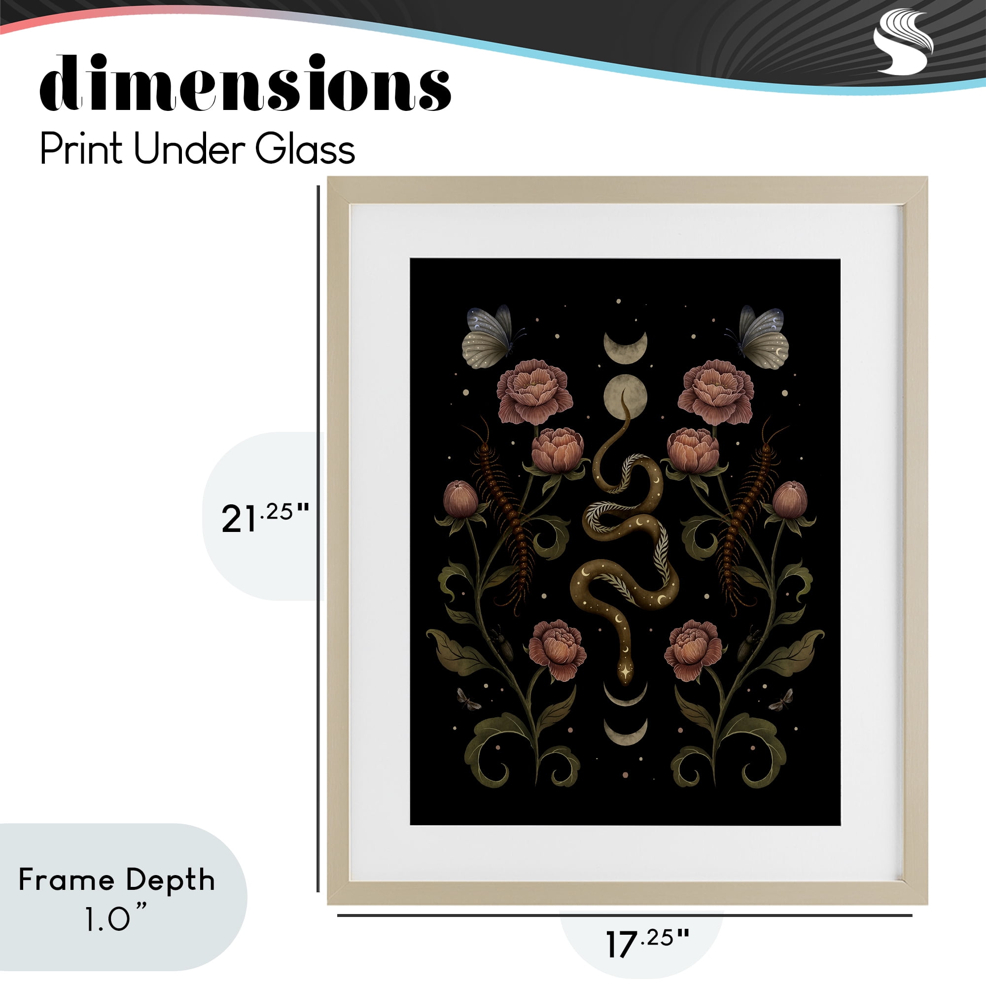 Stupell Industries Serpentine Garden Symmetry Birch Framed Print Under Glass, design by Episodic Drawings