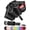 Black, variant on Inverted Travel Umbrella Compact - Windproof Umbrellas for Rain with Reflective Strip, Large UV Umbrella for Sun Protection, Automatic Portable Umbrellas Fold in Reverse for , Backpack