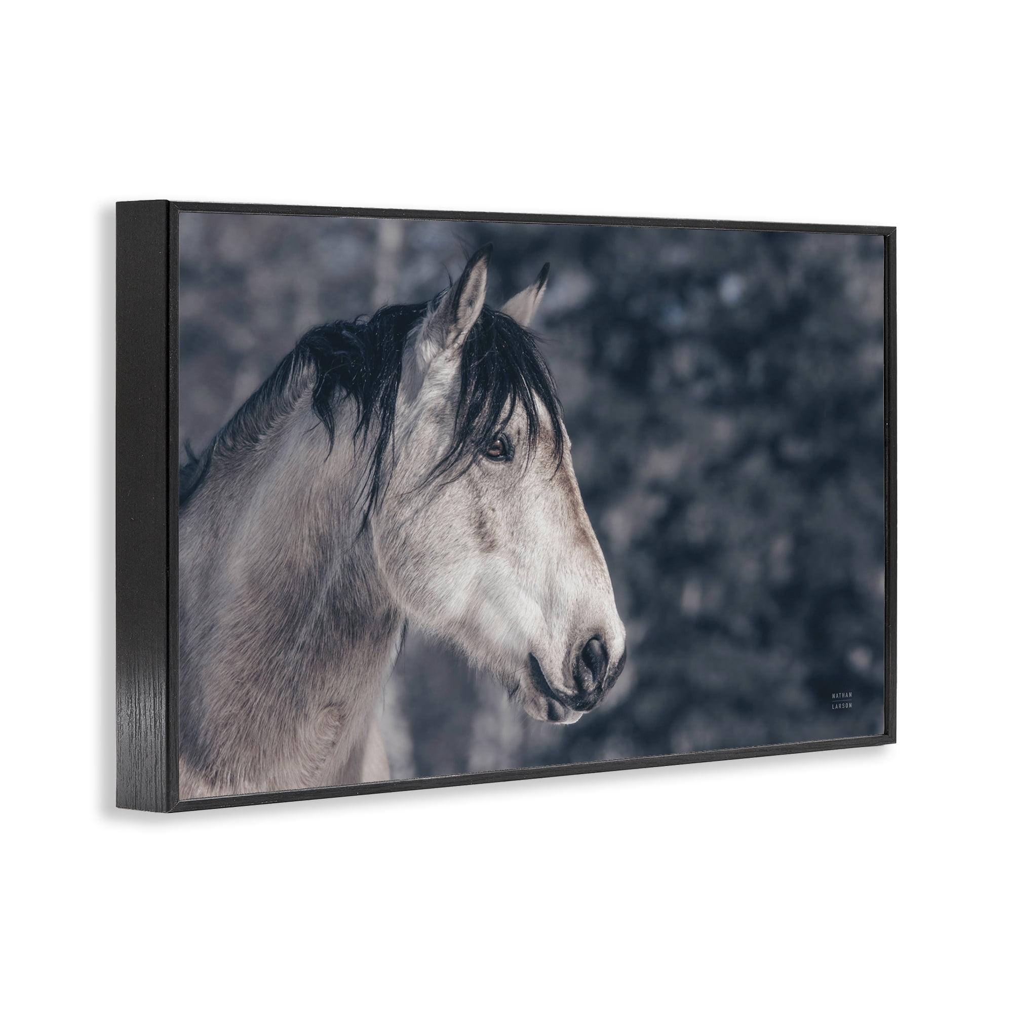 Stupell Industries Intense Gaze Stallion Animals & Insects Photography Black Framed Art Print Wall Art, 24 x 16