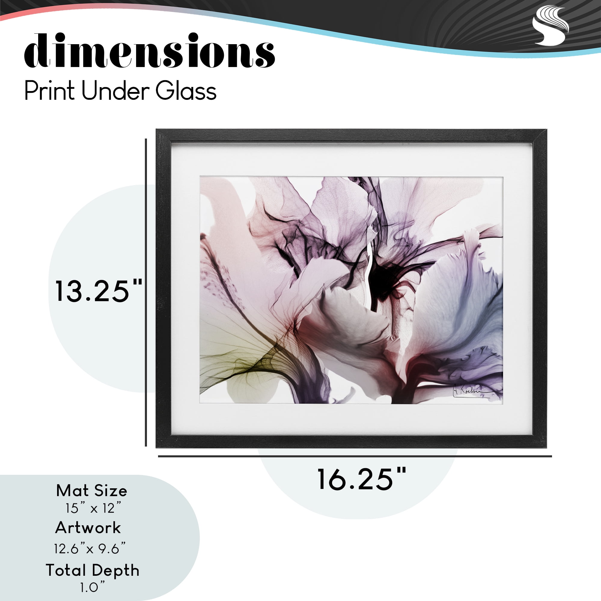 Stupell Industries Brilliant Song Flower Petals Black Framed Print Under Glass, design by Albert Koetsier