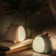 thumbnail image 5 of Luz nocturna creativa de silicona de dinosaurio pequeño, luz de ambiente para dormir en el dormitorio, 5 of 5