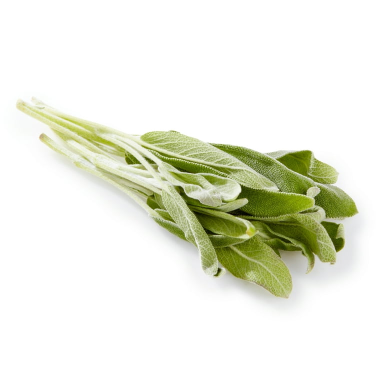 Fresh Organic Sage, 0.5 oz Clamshell - Walmart.com