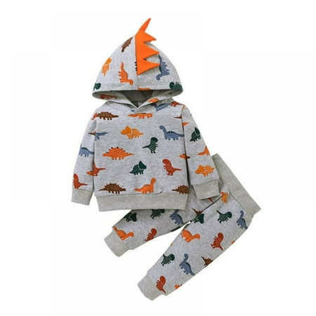 

2Pcs Baby Boys Hoodie Tops Pants Set Dinosaur Print Sweatsuit Fall Winter Outfits