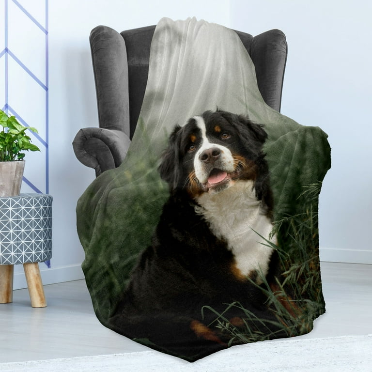 Pet Lover Soft Flannel Fleece Throw Blanket Real Life Image of a Bernese Mountain Dog Sitting Purebred Animal in Forest Cozy Plush for Indoor and