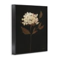 thumbnail image 4 of Stupell Industries Dark Fall Flower Botanical & Floral Painting Black Framed Art Print Wall Art, 11 x 14, 4 of 10