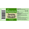 thumbnail image 2 of Birth Song Botanicals Energizing Chlorophyll Tincture Herbal Energy Support Supplement 1oz, 2 of 8