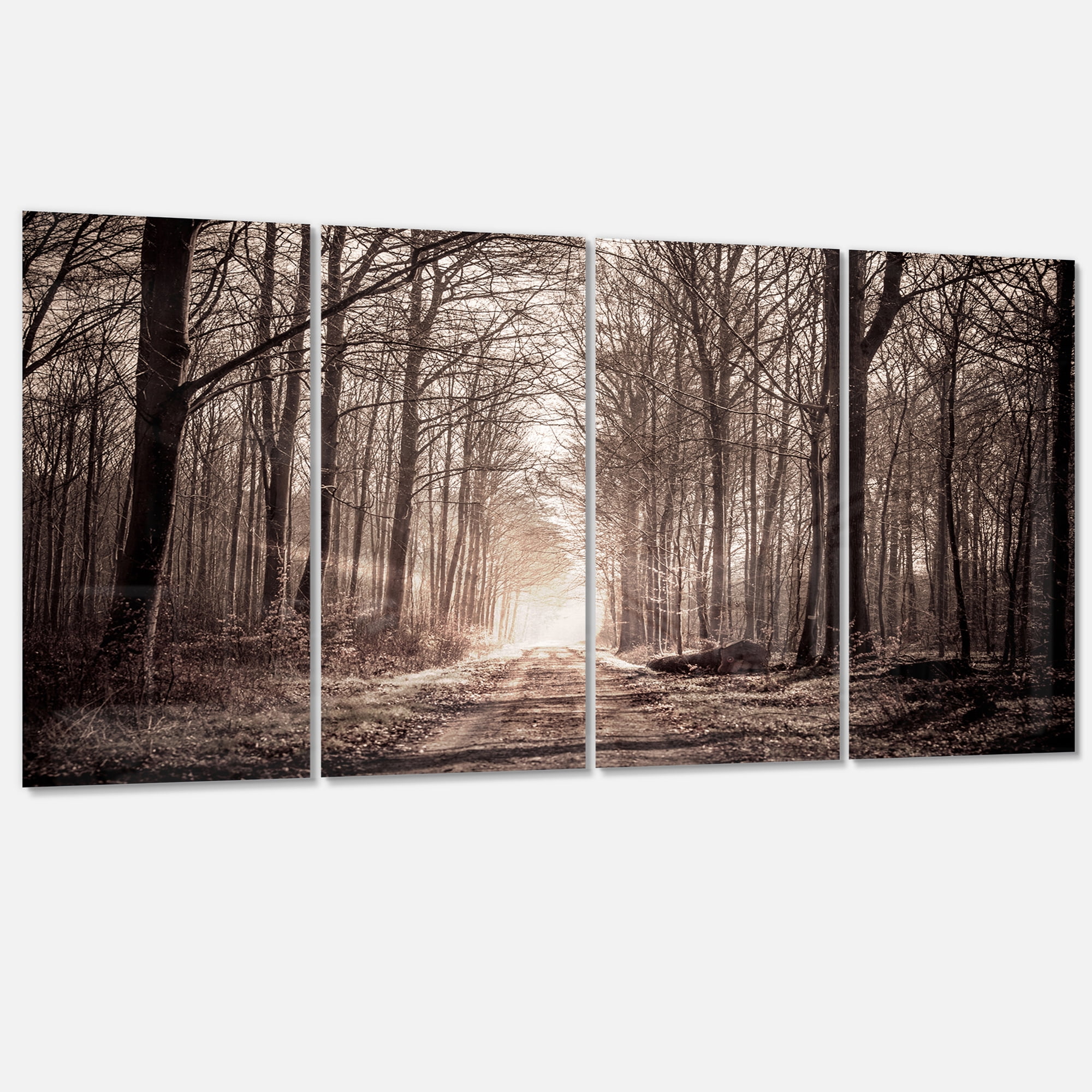 Designart 'Forest Trail in Sepia ' Landscape Photography Canvas Art Print