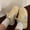 Yellow Blue, variant on Women's Chunky White Platform Sneakers - Lightweight Retro 80s/90s Tennis Shoes with Thick Platform (Beige/), Breathable Mesh-like TPR Sole & PU - Lace-Up Non-Slip Walking Shoes for Casual, Office