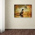 thumbnail image 4 of Trademark Fine Art "The Robin" Canvas Art by Lois Bryan, 4 of 4