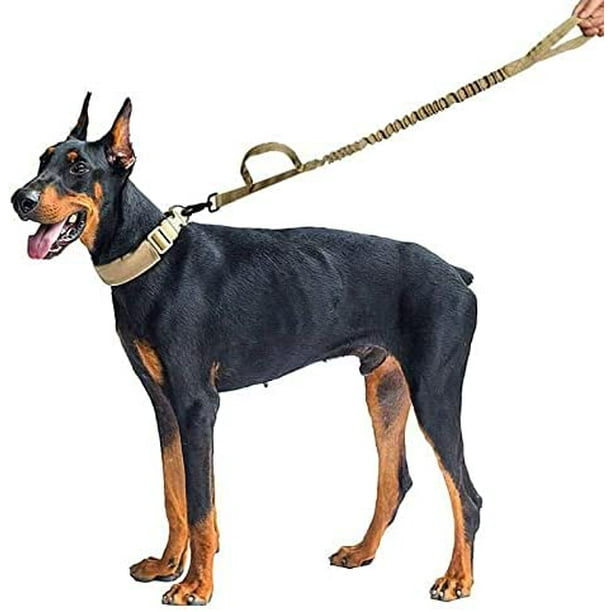 Short sales leash training