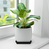 HOMEMAXS 10 Pcs Large Tray Flower Pot Bottom Mat 22.00X22.00X2.50CM Black