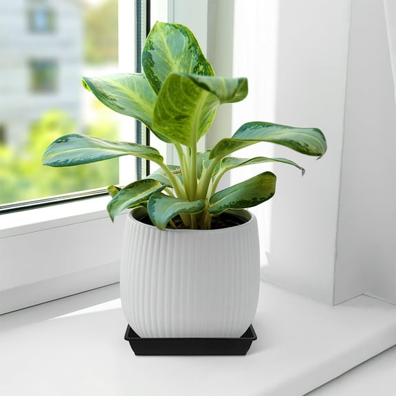 HOMEMAXS 10 Pcs Large Tray Flower Pot Bottom Mat 22.00X22.00X2.50CM Black