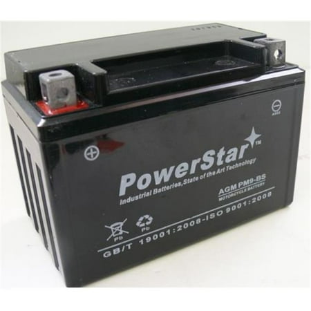 250 Double Seat (PowerStar pm9-bs-058 Battery Fits Or Replaces Dazon Karts 250 Cc Raider Max 250 - Double & Single)