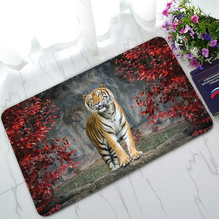University Tigers Floor (PHFZK Landscape Nature Scenery Doormat, Animal Tiger Doormat Outdoors/Indoor Doormat Home Floor Mats Rugs Size 30x18)