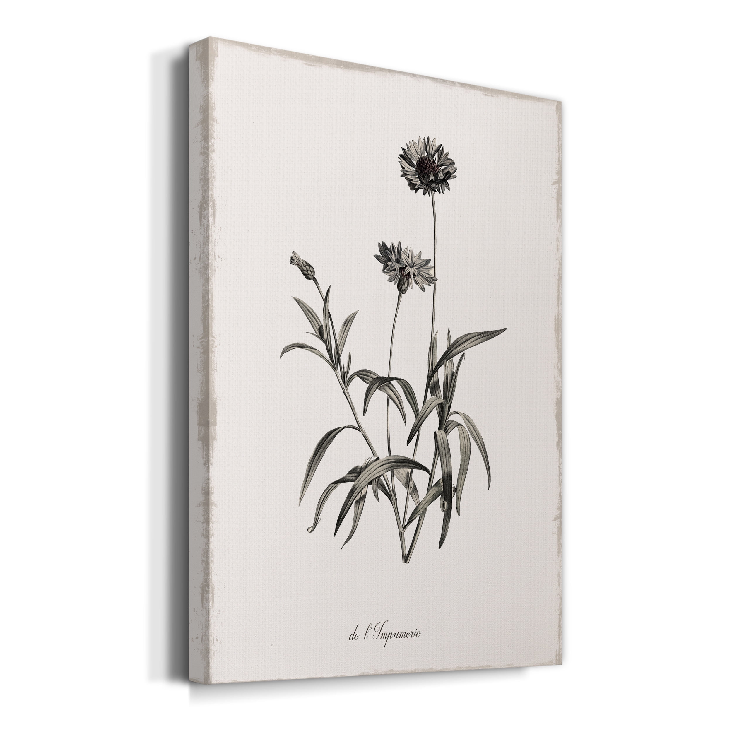 Sketchbook Imperial Premium Gallery Wrapped Canvas - Ready to Hang - 18 x 27