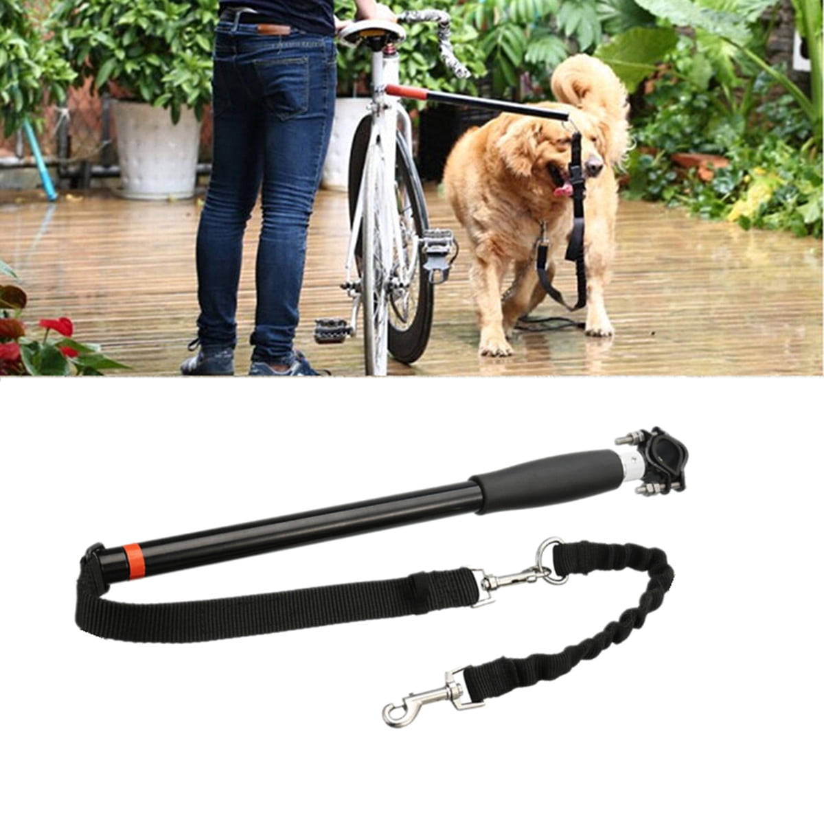 dog bike leash walmart