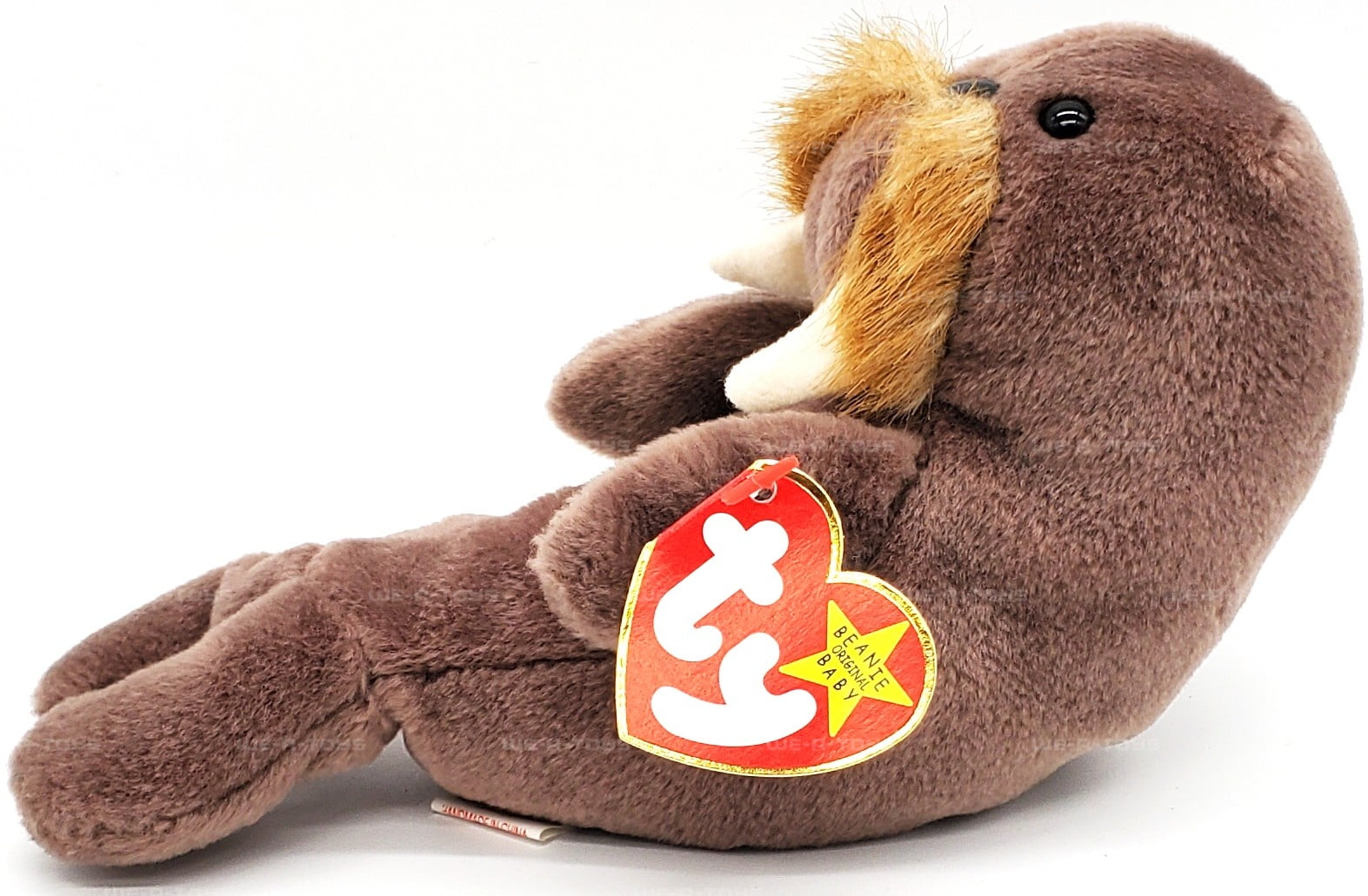 Ty Beanie Baby: Jolly the Walrus | Stuffy Plush Toy | Mint