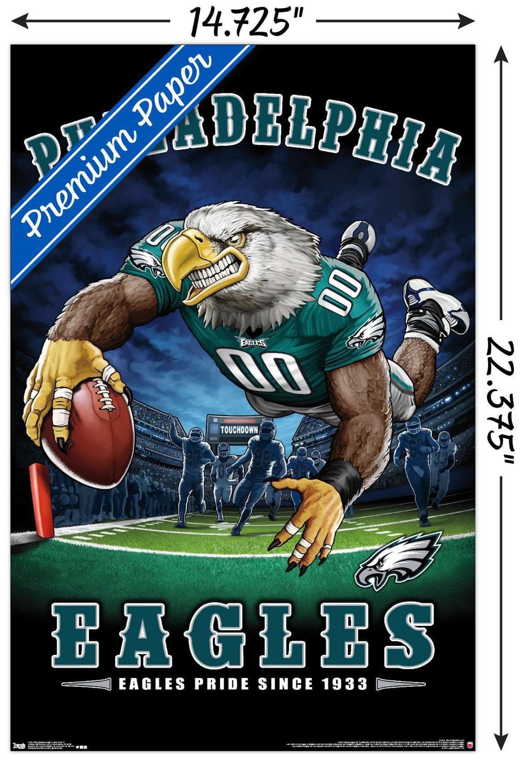 NFL Philadelphia Eagles - End Zone 17 Wall Poster