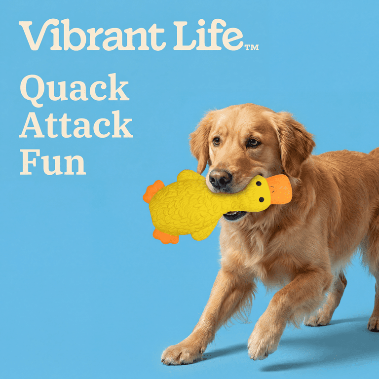 Vibrant Life Yellow Duck Latex Dog Toy, Squeaker photo 4