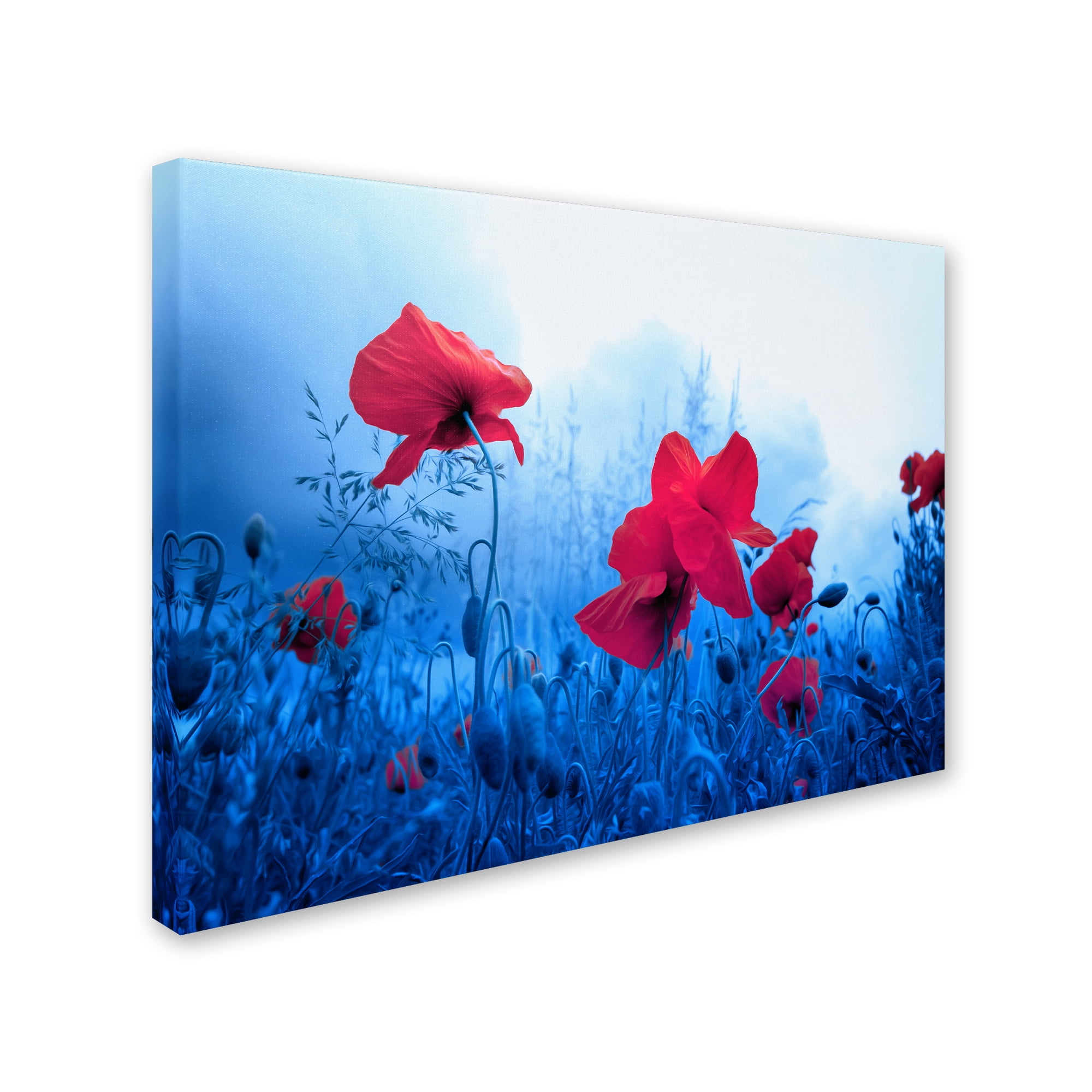 Trademark Fine Art "Jam for Poppies" Canvas Art by Philippe Sainte-Laudy