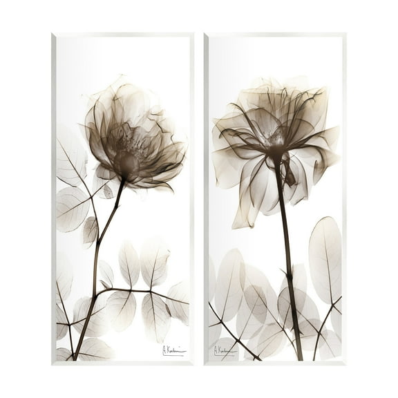 Stupell Industries Natural Modern Blooms Botanical & Floral Photography Unframed Art Print Wall Art, 7 x 17, Set of 2