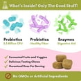 thumbnail image 2 of Wholistic Pet Organics Digest All Plus Digestion Support Dog Supplement, 60 Ct, 2 of 6