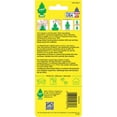 thumbnail image 3 of Ambientador para Auto LITTLE TREES Aroma a Coco Paquete de 12, 3 of 7