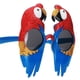 thumbnail image 3 of Prettyia Macaw Bird, de sol , accesorio para foto Zulema Gafas de sol del loro del partido, 3 of 7