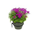 thumbnail image 1 of Gancho para planta de pared, soporte plegable (8 pulgadas) Afortunado Sencillez, 1 of 5