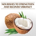thumbnail image 3 of Acondicionador BioSilk Silk Therapy con Aceite de Coco 350 ml, 3 of 5