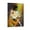 Frame-style, variant on Jimmys Page Poster 8 Canvas Art Poster and Wall Art Picture Print Modern Family bedroom Decor Posters 12x18inch(30x45cm)