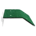 thumbnail image 1 of EeaseCA 1pc Turtle Drying Platform Simulated Lawn Reptile Tortoise Climbing Ladder, 1 of 9