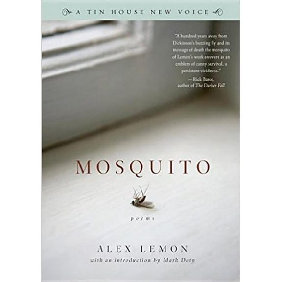 Mosquito (Paperback)