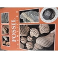thumbnail image 1 of Pre-Owned Fossil Identifier Hardcover, 1 of 1