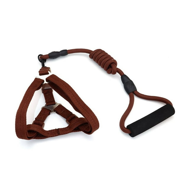 Methold Arnés para cerdos, arneses para caminar, correas portátiles de nailon, cinturón seguro, resistencia a la tracción, cuerda de plomo Tubos y túneles para animales pequeños Café, 1*120 cm Largo