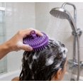 thumbnail image 2 of Miyuadkai 4pc Hair Brush, Wet Brush Hair Scalp Exfoliator Brush Dandruff Cleaning Brush for Exfoliation,Dandruff Removal Head Massage Stress Relax,Wet & Dry Use, 2 of 7