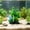 B, variant on Artificial Aquarium Plants, Colorful Fake Lotus Water Plants for Fish Tank Decor