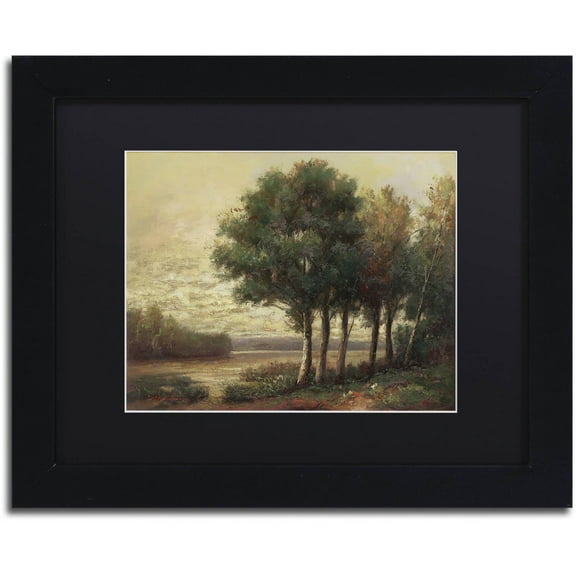 Trademark Fine Art "Tranquility" Canvas Art by Daniel Moises, Black Matte, Black Frame