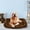 Coffee, variant on Heated Pet Bed for Dogs and Cats with Non- Bottom Washable Soft Kennel Mat Winter Warm Sleeping Pad