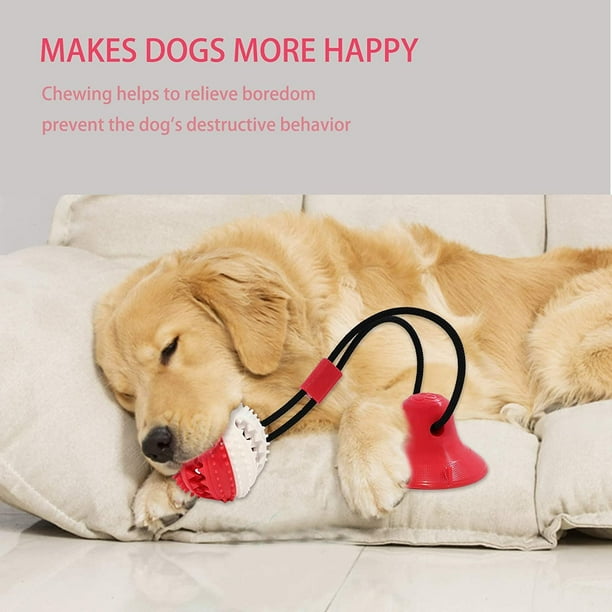 Bully chew outlet toys