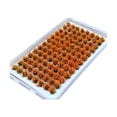 thumbnail image 1 of jifeng Artificial DIY Miniature Flower Cluster Grass Tufts Diorama Layout Scenery Model Orange, 1 of 9