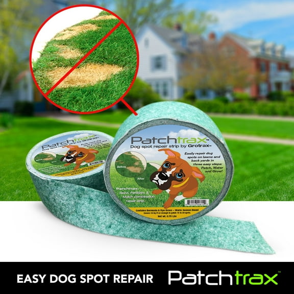 PatchTrax by Grotrax Dog Spot Repair Strip - 50 foot roll - 2 roll pack - Mid to Northern States - Cool Weather Blend