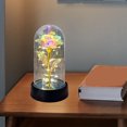 thumbnail image 6 of LED Night Light under $5! Xqxayjr LED Rose Flower in Glass Dome, Colorful Artificial Rose Night Light, Romantic Gift for Valentine's Day Birthday Anniversary, 6 of 8